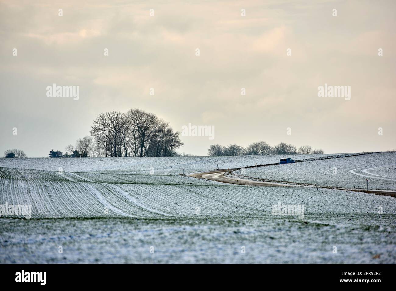 Vue sur le paysage d'un champ vide et isolé couvert de neige pendant l'hiver au Danemark. Paysage magnifique et paisible d'une journée froide et enneigée sur terre agricole dans la campagne avec espace copie Banque D'Images