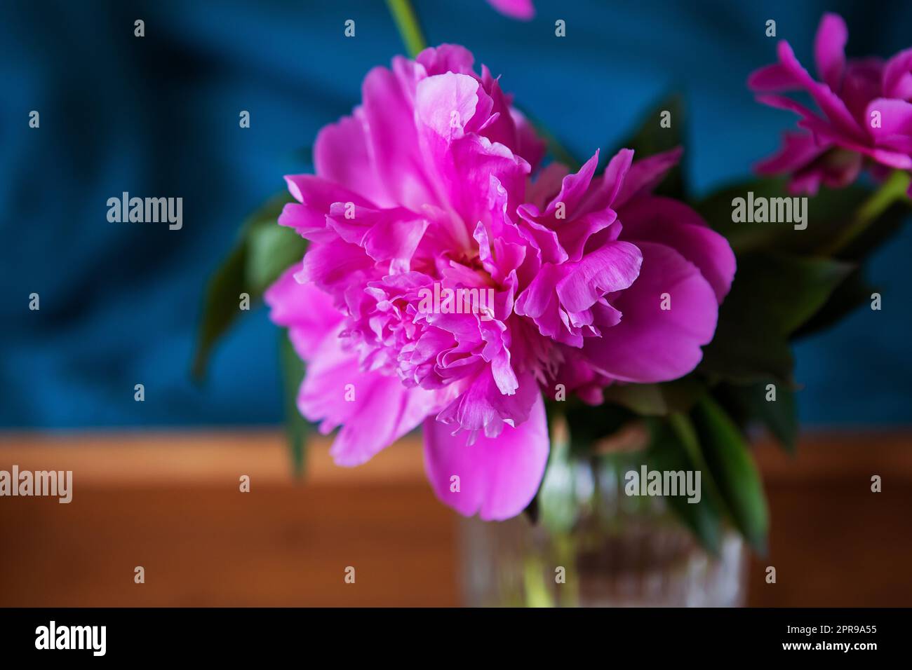 Belles pivoines rose dans un vase de verre sont debout sur un plateau en bois au lit. Close-up. Banque D'Images