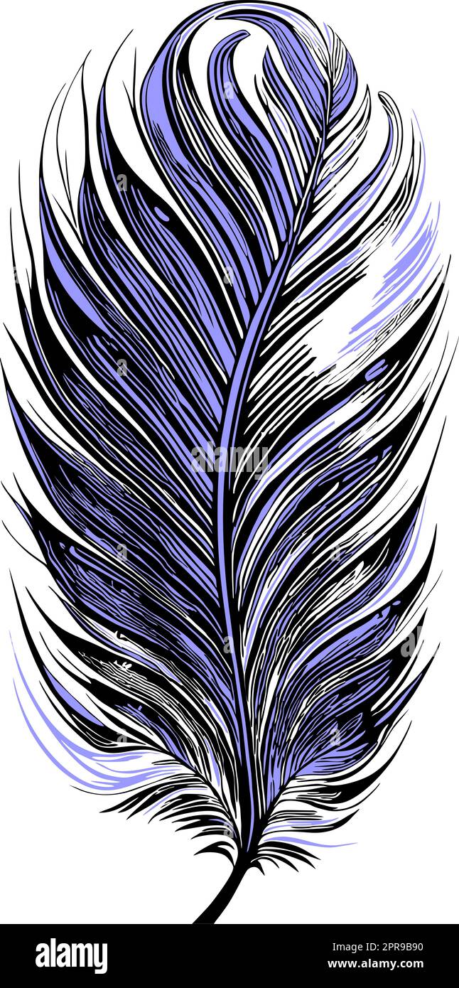 dessin graphique simple plume d'oiseau noir et bleu, croquis, logo Banque D'Images