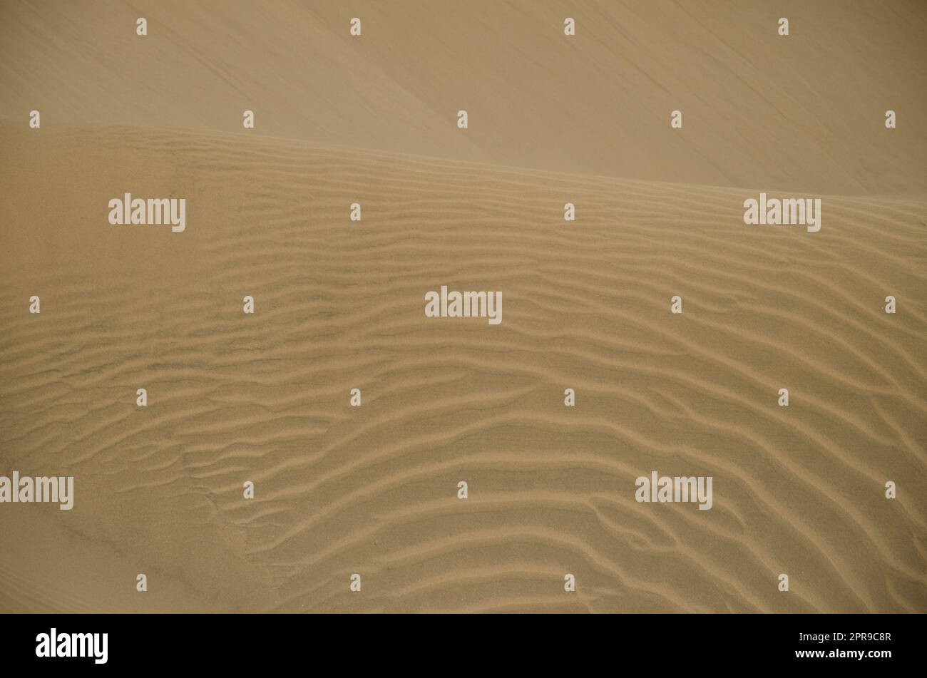 Dunes de sable dans la réserve naturelle spéciale des dunes de Maspalomas. Banque D'Images