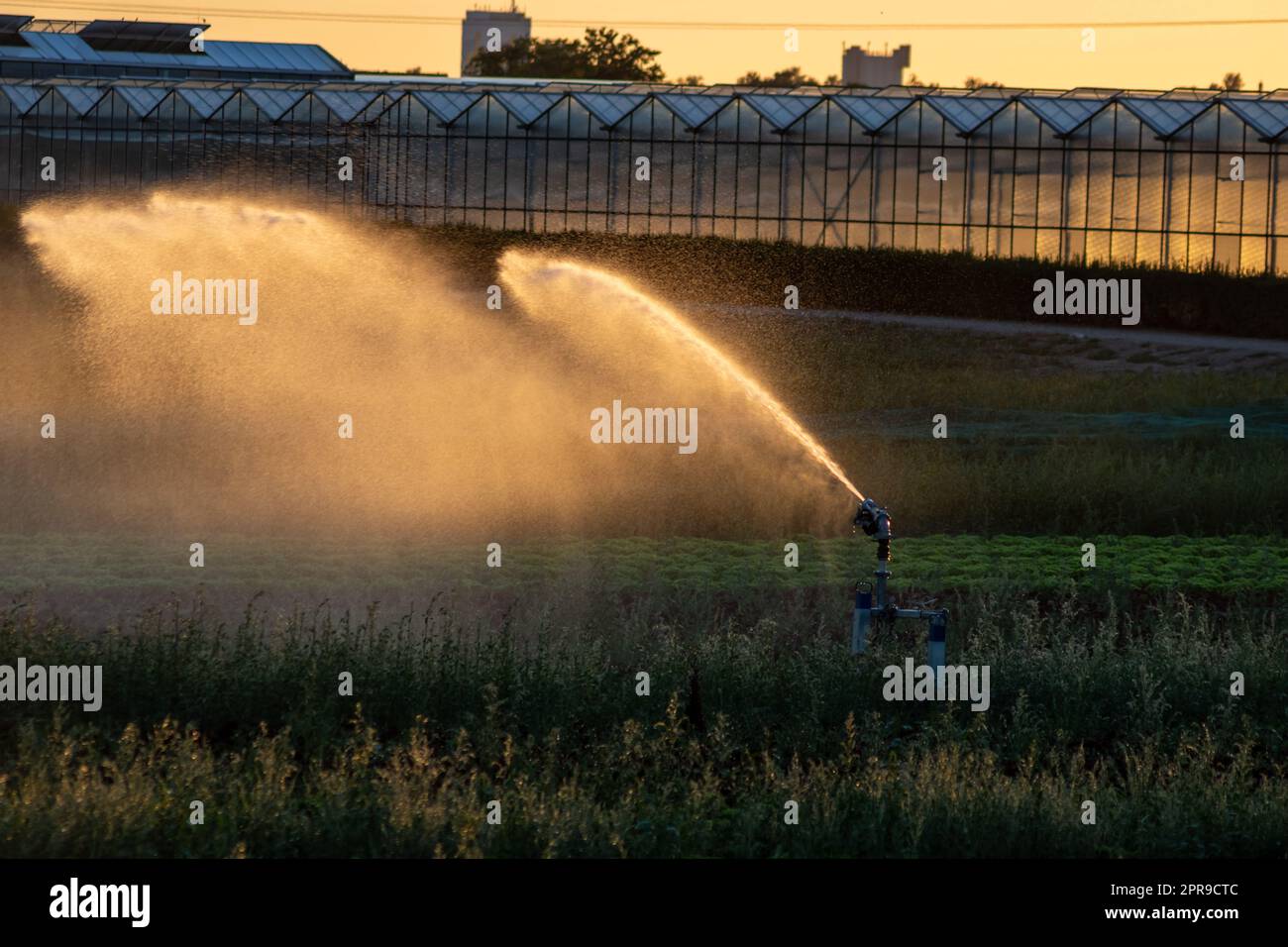 Un système d'irrigation agricole est nécessaire en raison de l'été chaud et de la sécheresse causée par le changement climatique menace l'agriculture et l'industrie agricole avec un temps sec et aucune pluviométrie ne gonfle la récolte des prix des cultures Banque D'Images