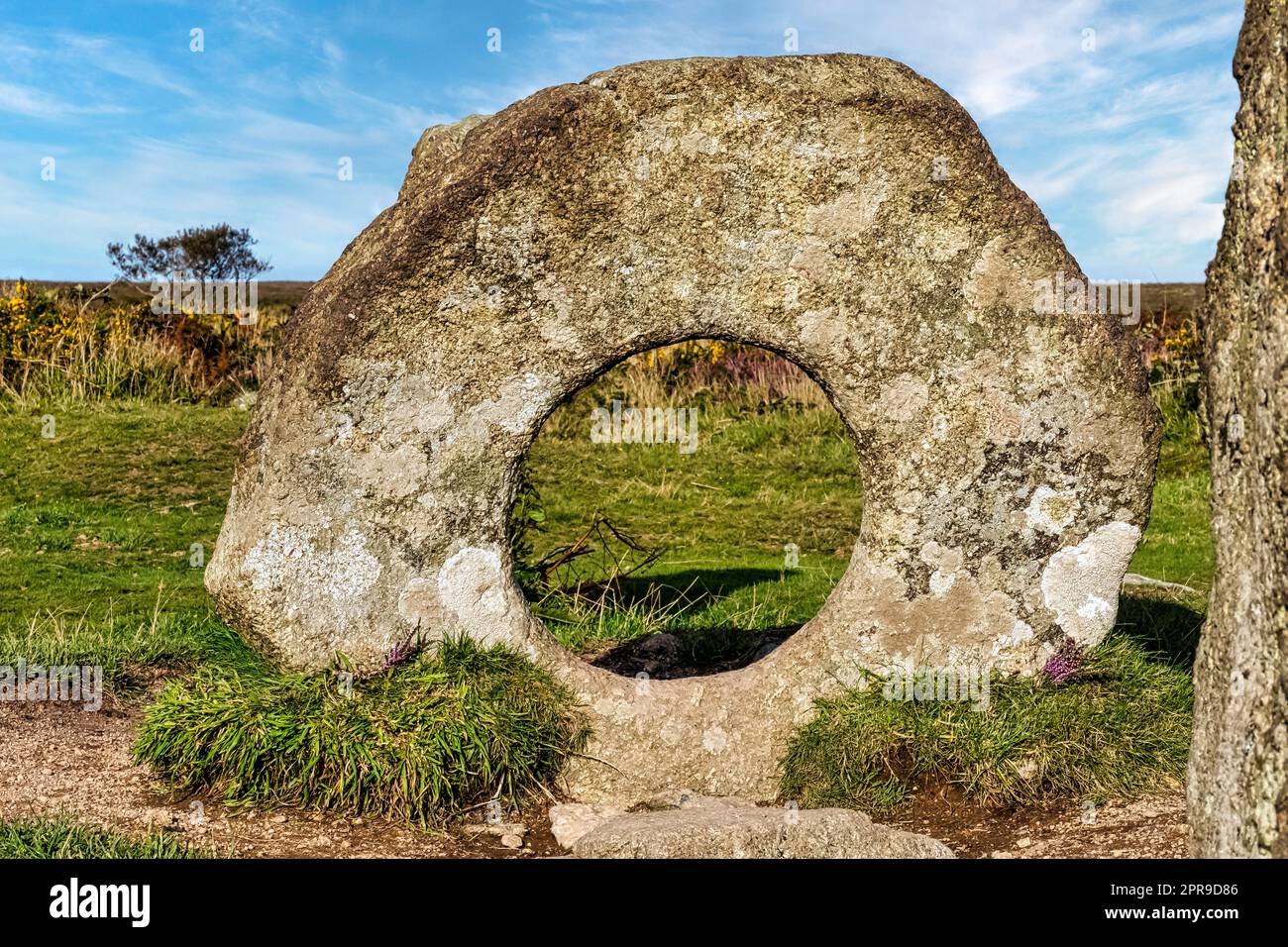Men-an-Tol connu sous le nom de Men an Toll ou Crick Stone - petite formation de pierres debout à Cornwall, Royaume-Uni Banque D'Images