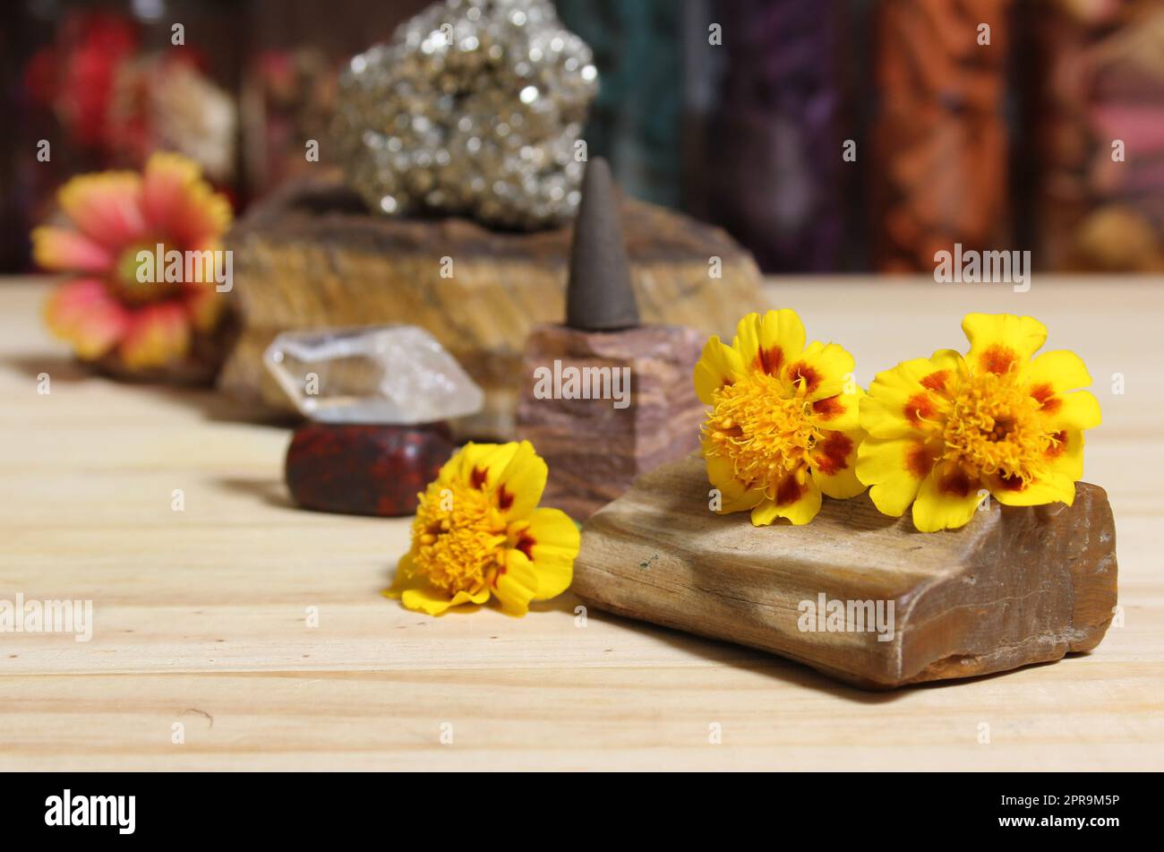 Fleurs jaunes sur bois pétrifié avec cristaux de roche et cône d'Encens Banque D'Images