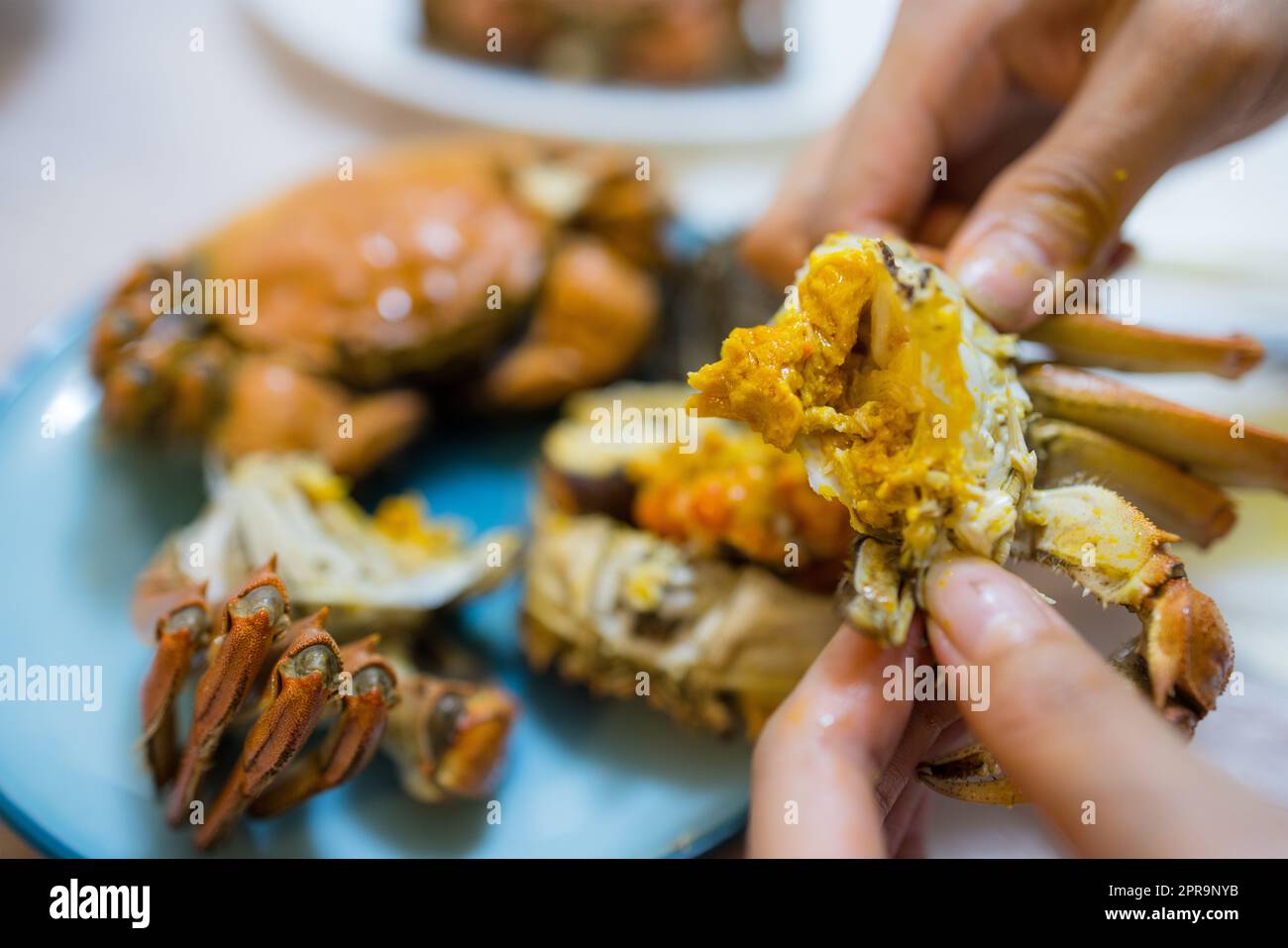 Mangez du crabe poilu chinois chez vous Banque D'Images