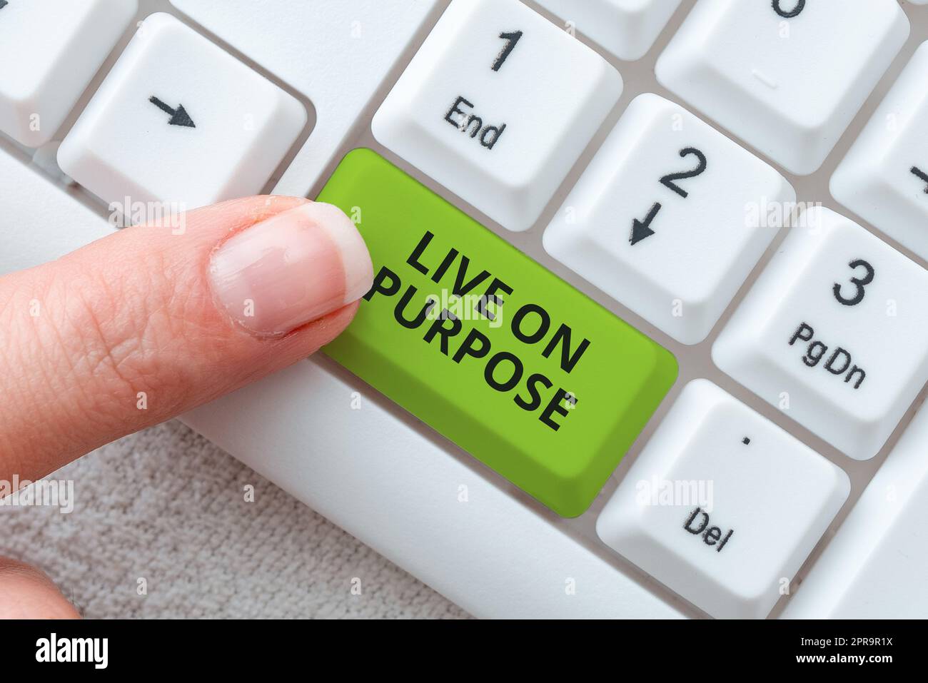 Légende de texte présentant Live On Purpose. Mot pour avoir un objectif mission motivation pour continuer à aller inspiration -49190 Banque D'Images