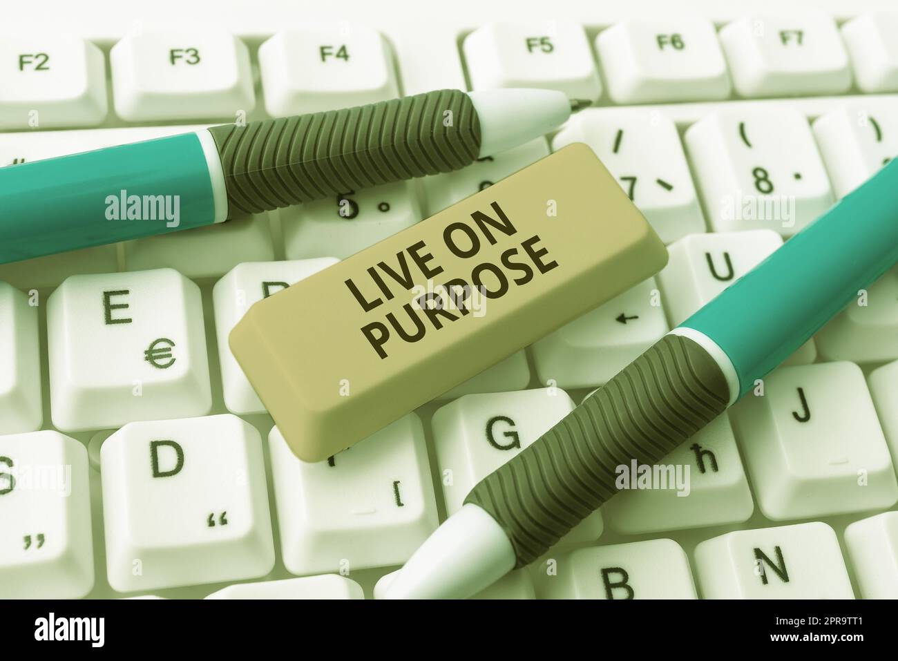 Affichage conceptuel Live On Purpose. L'approche commerciale ont une motivation de mission d'objectif de continuer à s'inspirer -48579 Banque D'Images