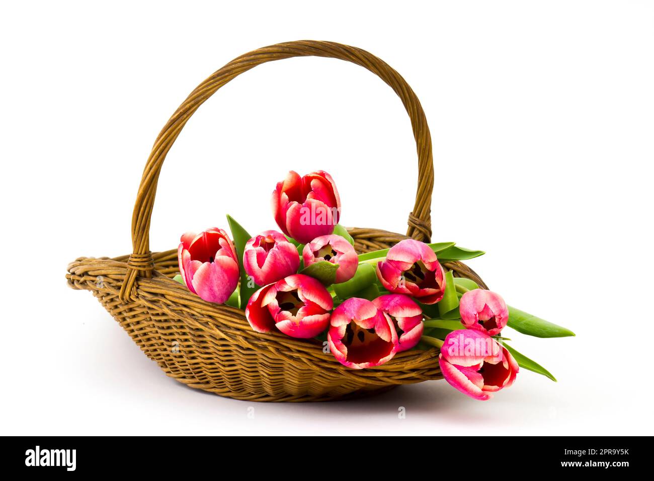 Tulipes rouges dans un panier Banque D'Images