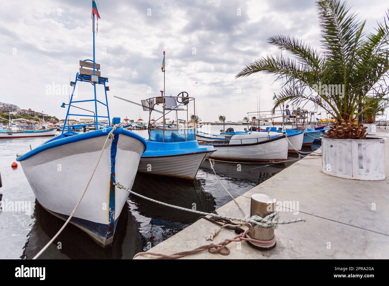 Paysage d'été. Des bateaux de pêche sont amarrés à la jetée près des palmiers. Concept de promenades en mer et de détente. Banque D'Images