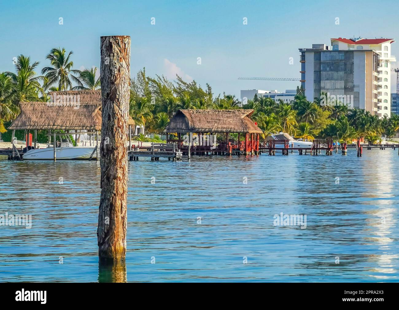 Playa Azul Beach Palm paysage marin panorama à Cancun Mexique. Banque D'Images