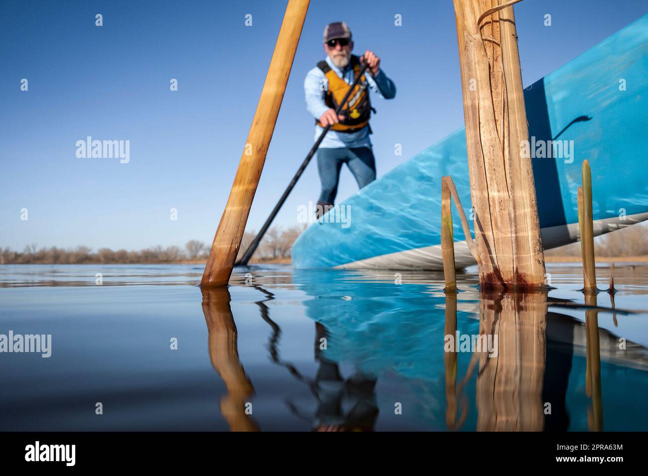 au printemps, il se trouve sur un lac calme, avec un petit pagayeur hors foyer, une vue sur la grenouille depuis une caméra embarquée au niveau de l'eau Banque D'Images