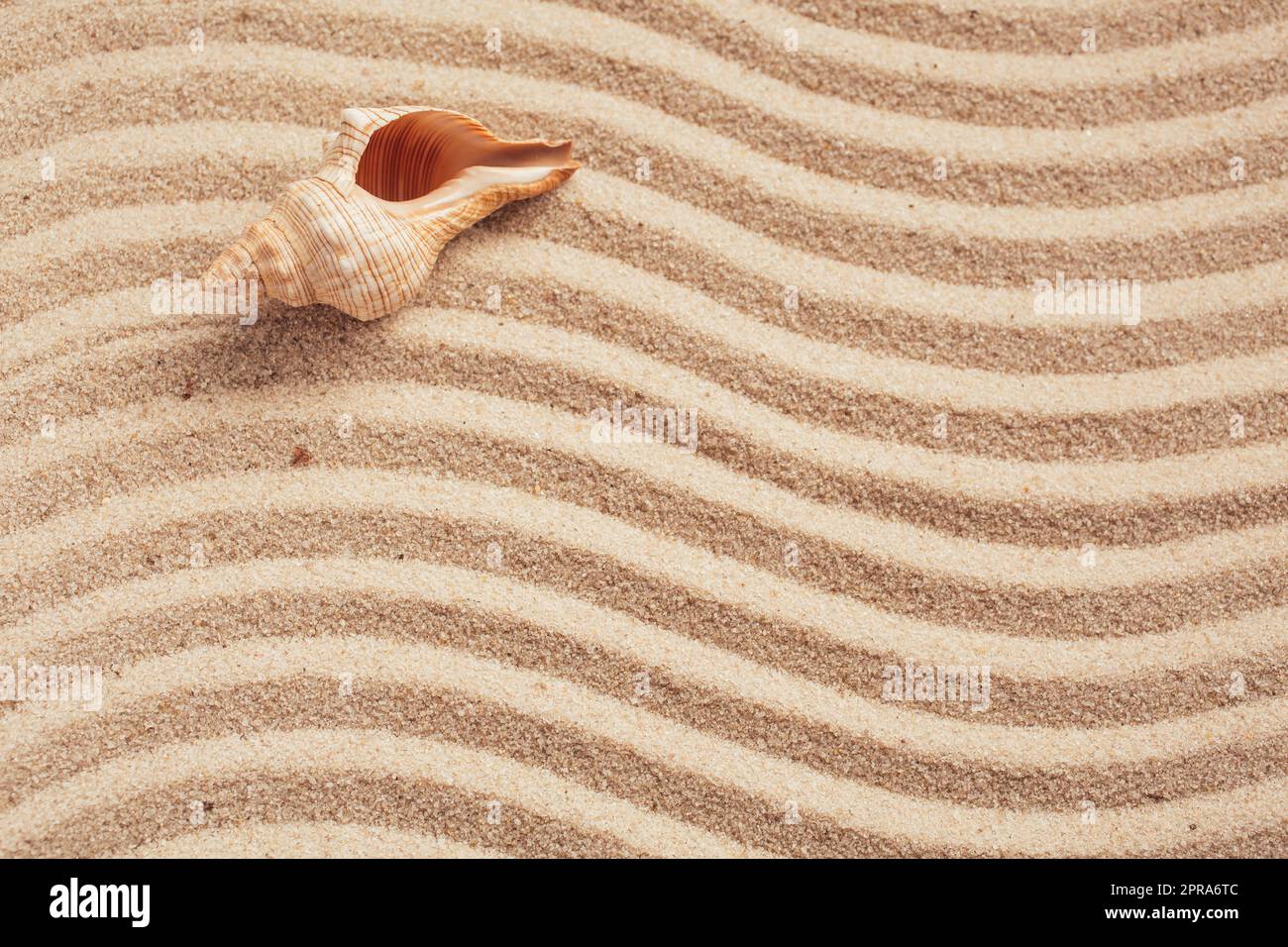 Plage de sable jaune. Magnifique bord de mer sur la plage. Modèle de bannière avec emplacement pour le texte. Vue de dessus. Banque D'Images
