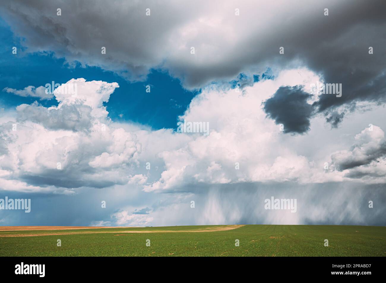 Campagne rurale Field Meadow Paysage dans Sunny Rainy Spring Day. Ciel pittoresque avec nuages de pluie sur Horizon. Concept de prévision agricole et météorologique Banque D'Images