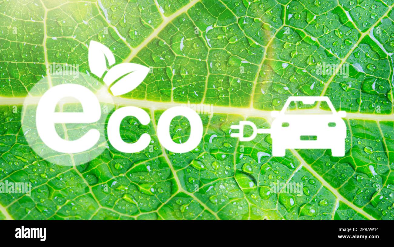 Voiture électrique et environnement Eco les icônes se forment sur la feuille verte Banque D'Images