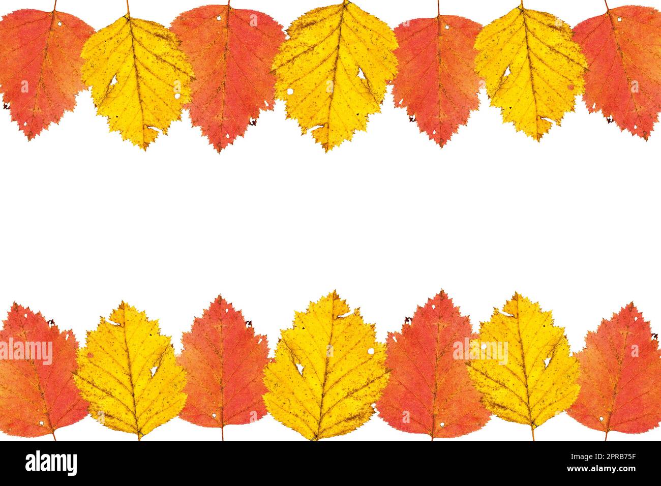 Cadre de bordure de feuilles d'automne colorées Banque D'Images