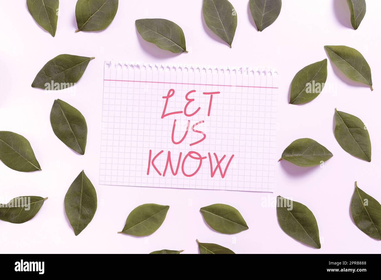 Affiche faites-nous savoir. Photo conceptuelle informer sur une situation garder contact demander des conseils Carnet feuille avec des feuilles fraîches pour l'invitation créative et les cartes. Banque D'Images