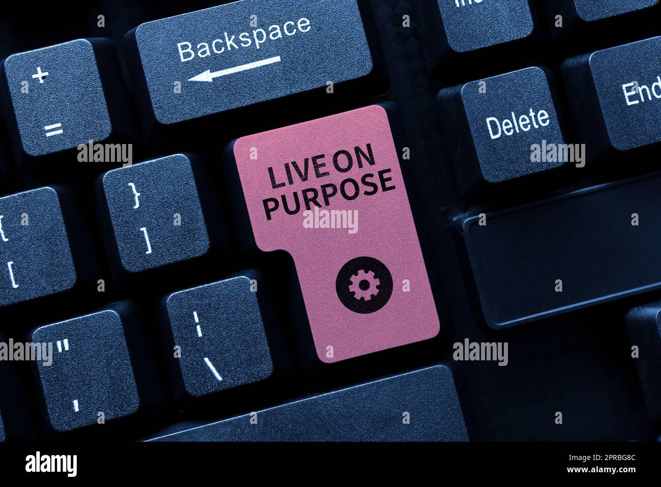 Écriture affichant du texte Live On Purpose. Mot écrit ont un objectif mission motivation pour continuer à s'inspirer -49067 Banque D'Images