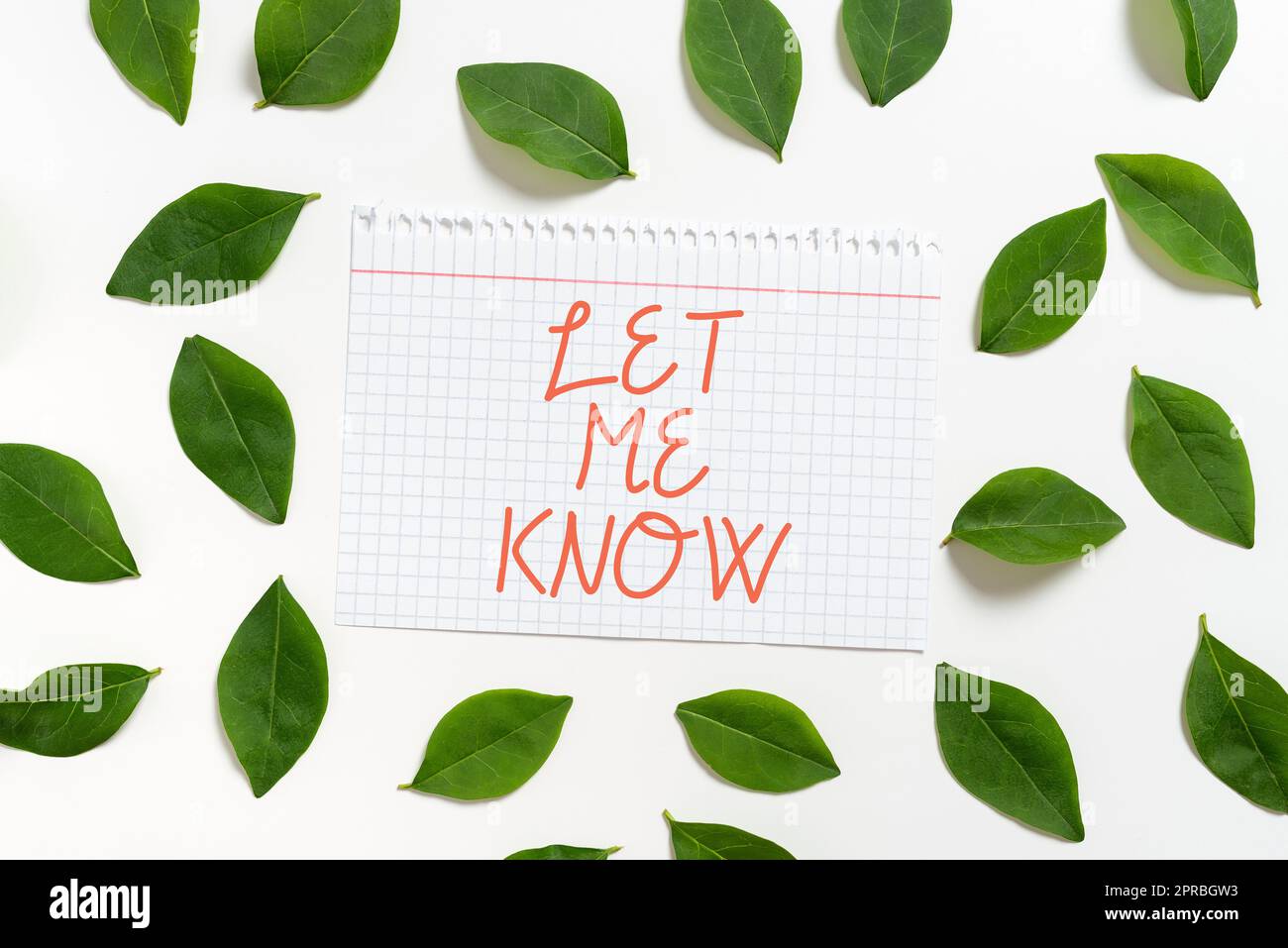 Légende du texte présentant dites-moi. Vitrine d'affaires informer sur une situation rester en contact demander des conseils Carnet feuille avec des feuilles fraîches pour l'invitation créative et les cartes. Banque D'Images