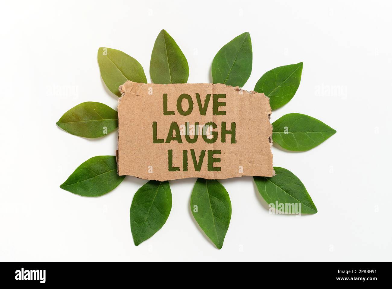 Affichage conceptuel Love Laugh Live. Photo conceptuelle soyez inspiré positif Profitez de vos jours riant bonne humeur carton vierge papier entouré de feuilles pour carte d'invitation. Banque D'Images