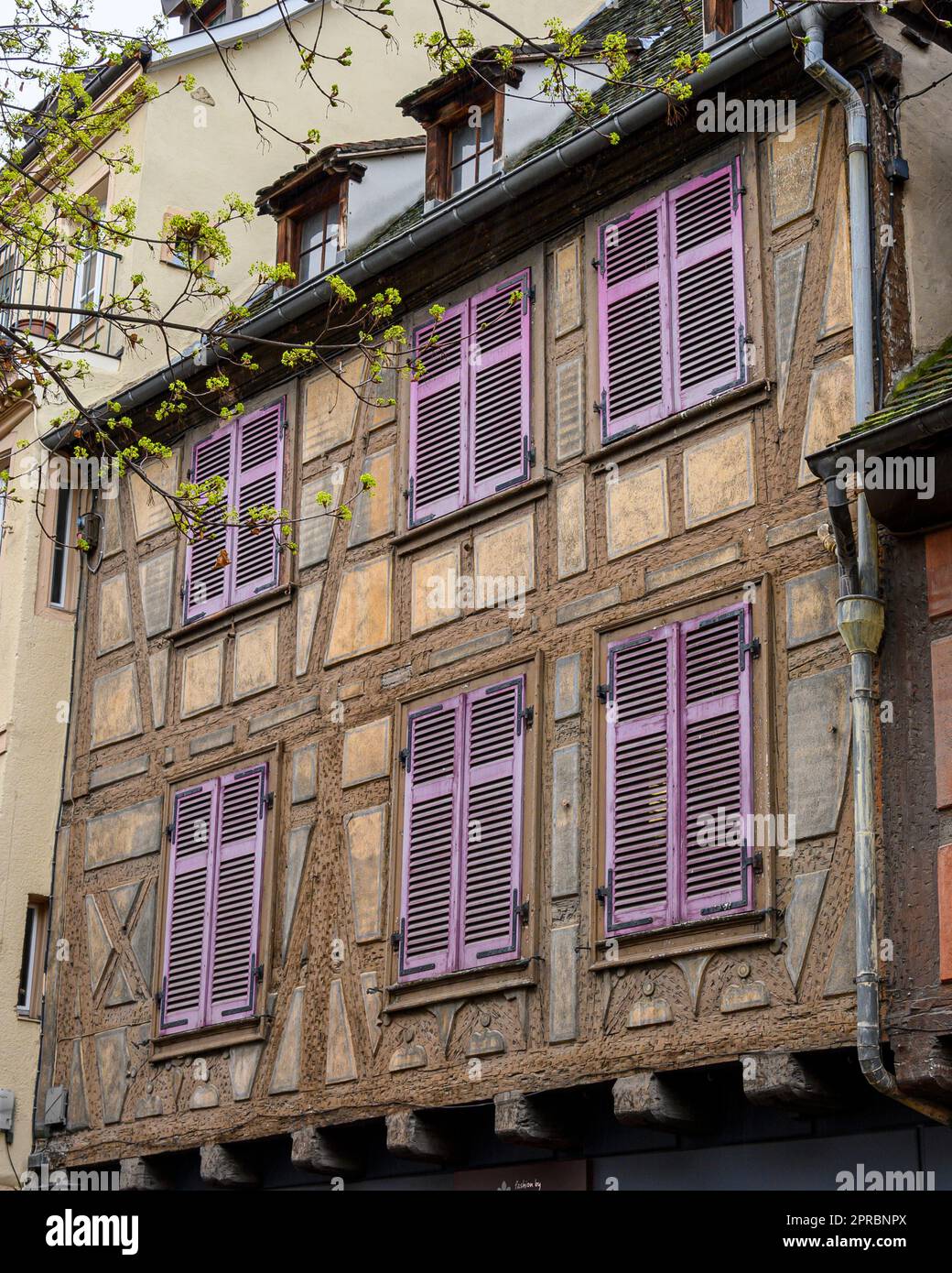 Volets de lavande une maison à colombages à Colmar, France. Banque D'Images