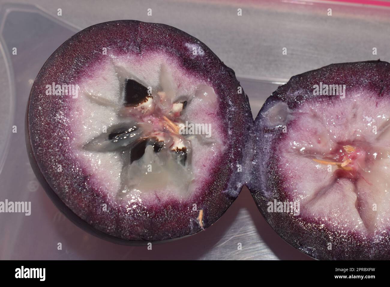 Chrysophyllum caïnite ou pomme ou caimite. Banque D'Images