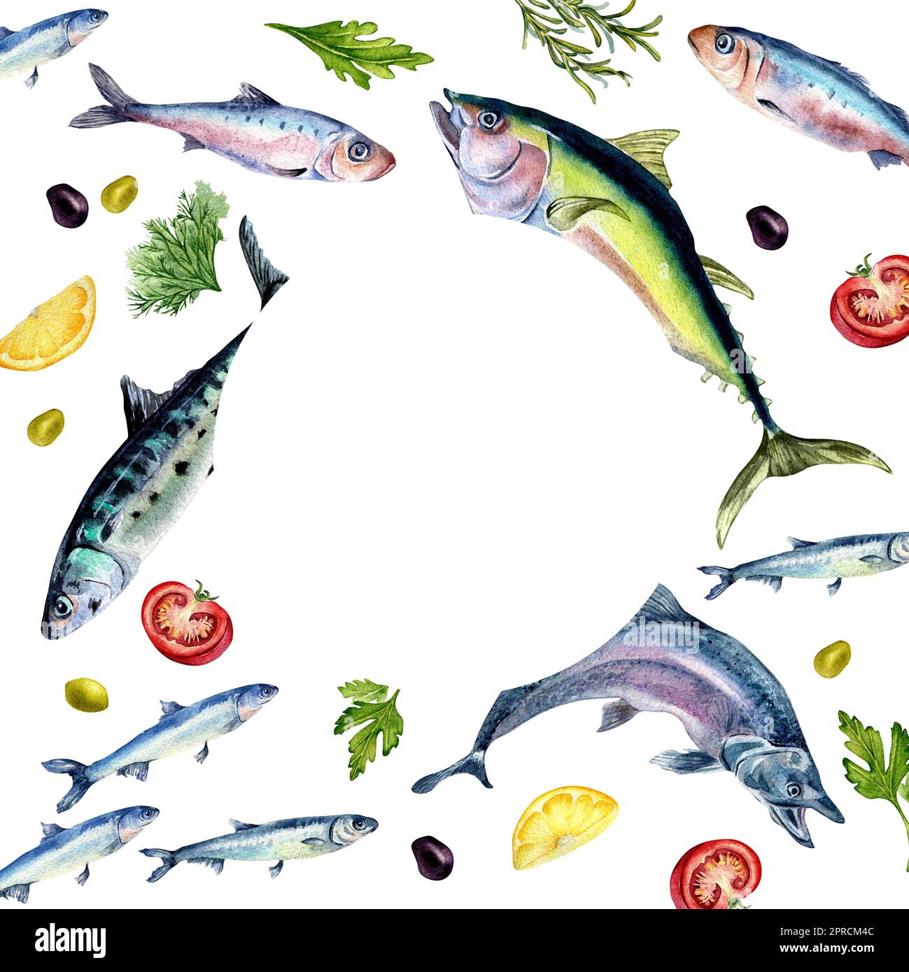 Cadre de poissons frais et épices aquarelle illustration isolée sur blanc. Poisson sauvage, thon, saumon, hareng, anchois, tomates dessinées à la main. Oreme de conception Banque D'Images