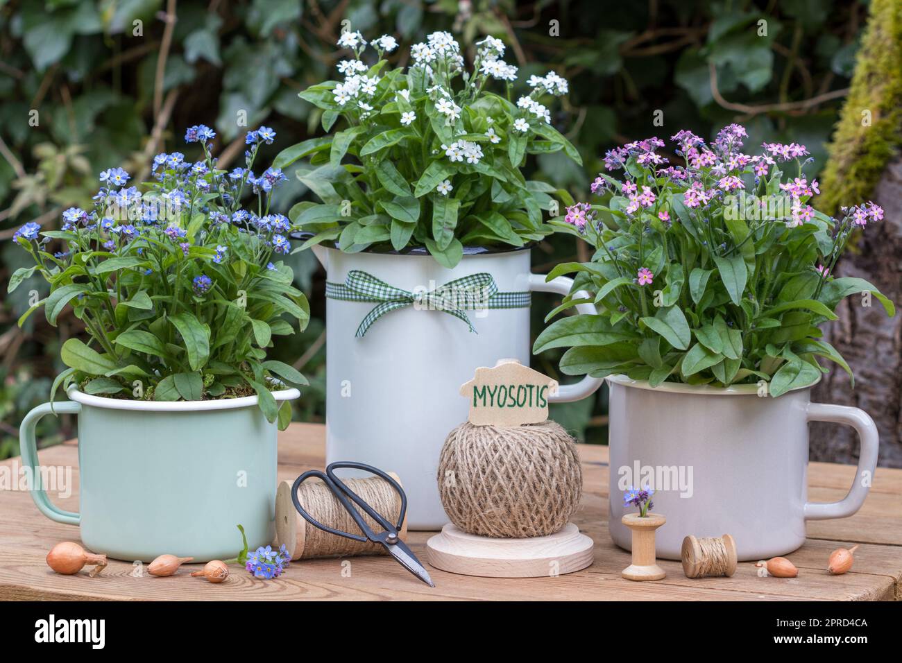 je ne fleuris pas dans des pots en émail dans le jardin Banque D'Images