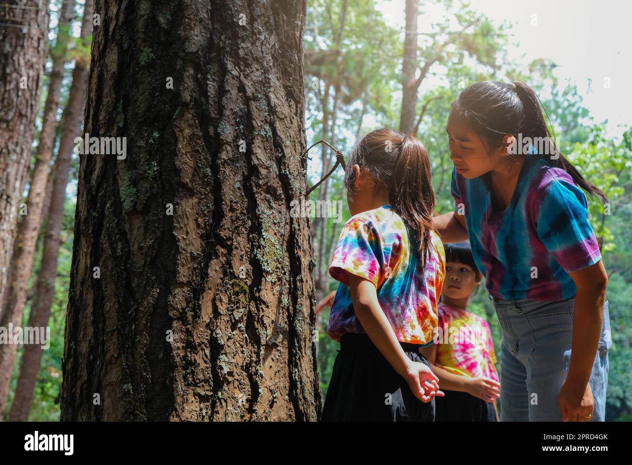 Mère heureuse et petite fille touchant le tronc d'un grand vieux arbre. Mode de vie écologique. Concept d'amour et de protection de la nature. Banque D'Images