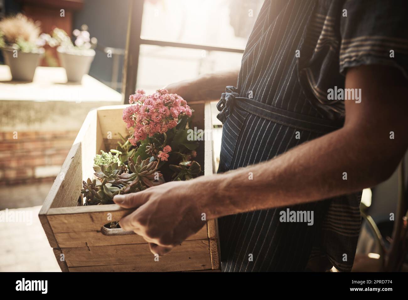 Les fleurs ont une façon de dire tout mieux. Un fleuriste méconnaissable tenant une caisse pleine de fleurs à l'intérieur d'une pépinière de plantes. Banque D'Images