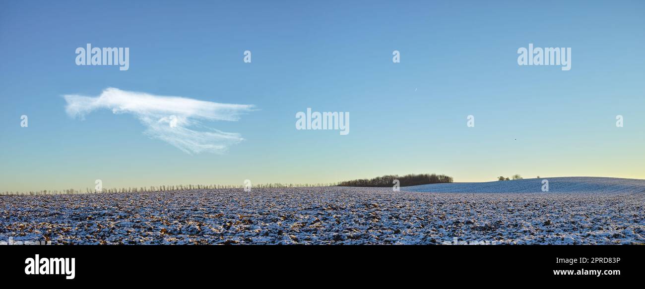 Terres agricoles en hiver. Une photo de la campagne au Danemark en hiver. Banque D'Images