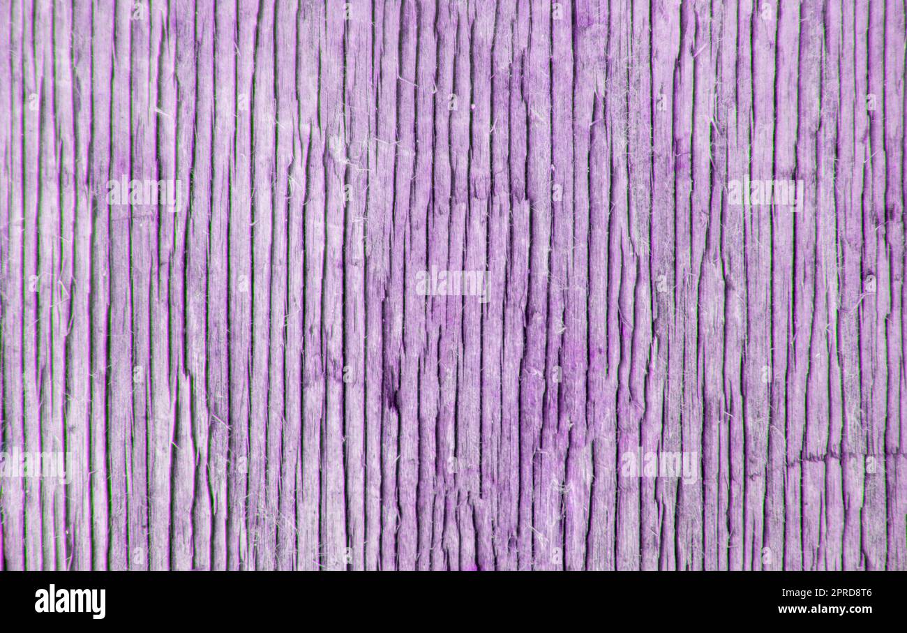 Ancienne surface en bois rouillé, arrière-plan abstrait de texture vintage, teinte pourpre Banque D'Images