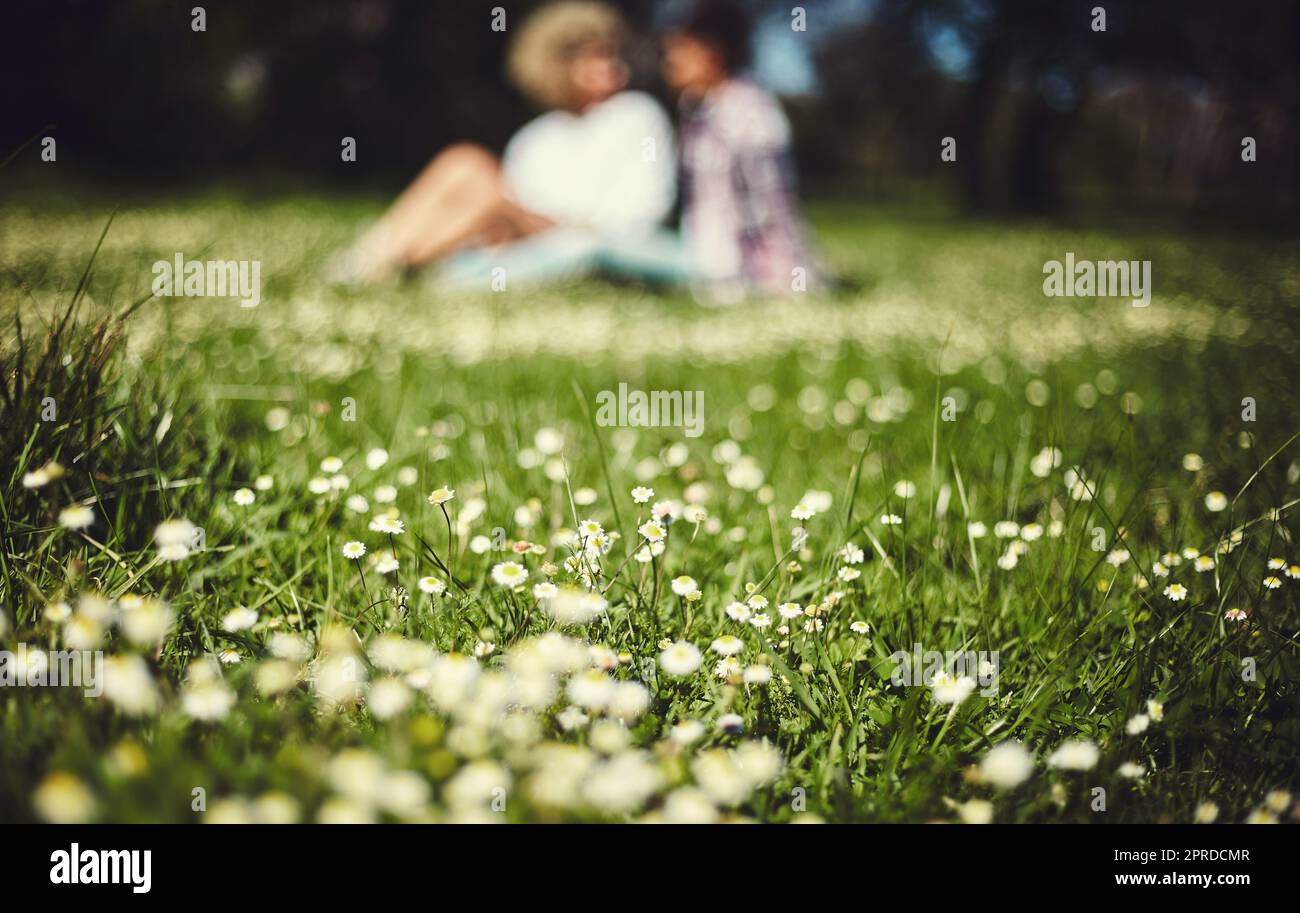Le parc est l'endroit où les couples traînent. Un couple méconnaissable assis sur la pelouse. Banque D'Images
