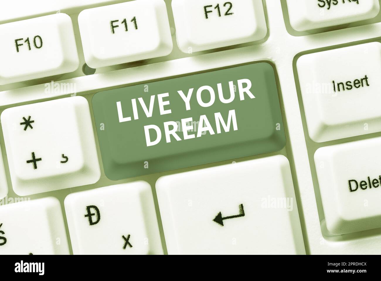 Légende conceptuelle Live Your Dream. Business vitrine motivation être une inspiration réussie bonheur atteindre les objectifs -48672 Banque D'Images
