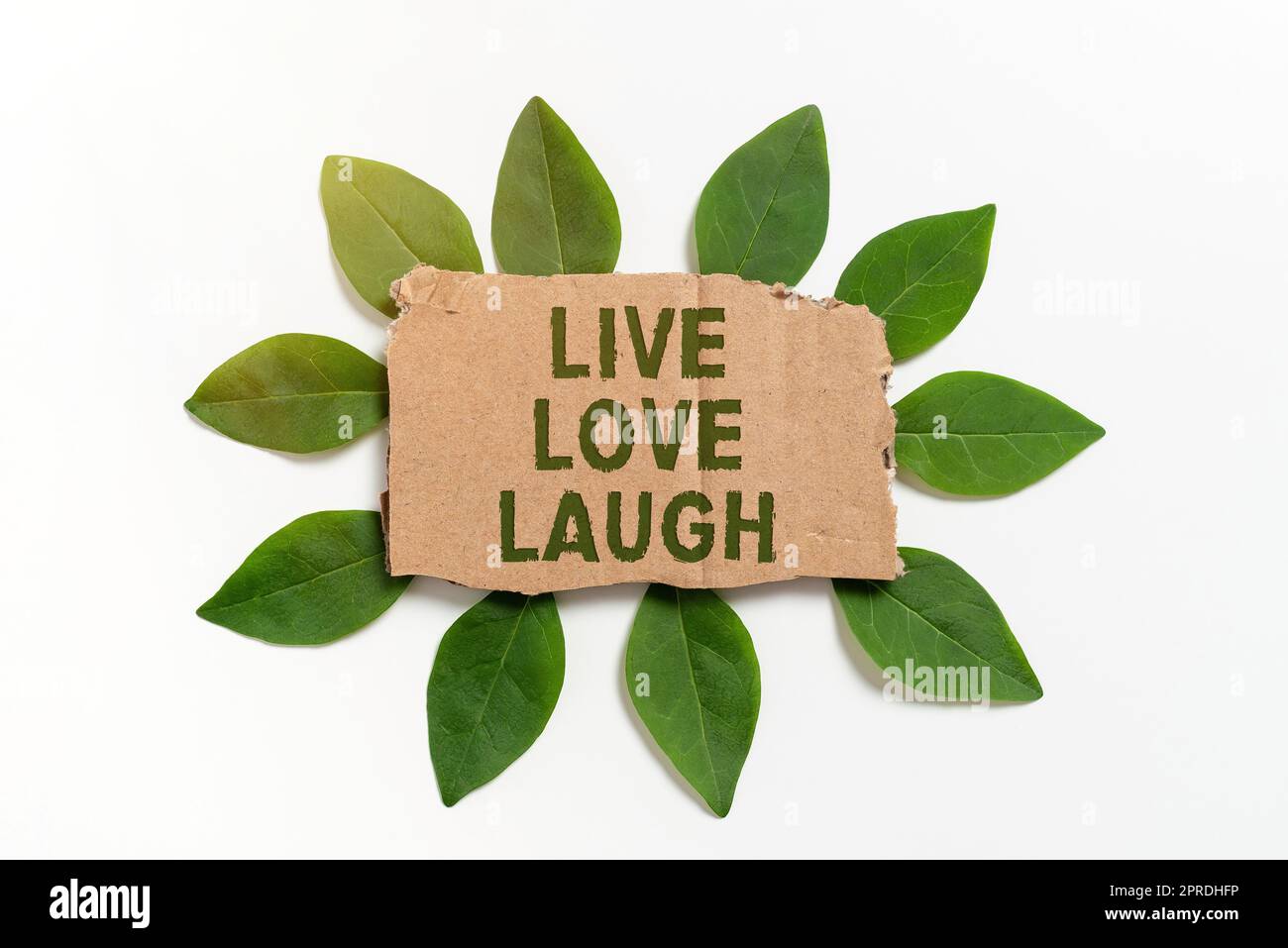 Légende conceptuelle Live Love Laugh. Mot pour être inspiré positif Profitez de vos jours riant bonne humeur carton blanc papier entouré de feuilles pour carte d'invitation. Banque D'Images