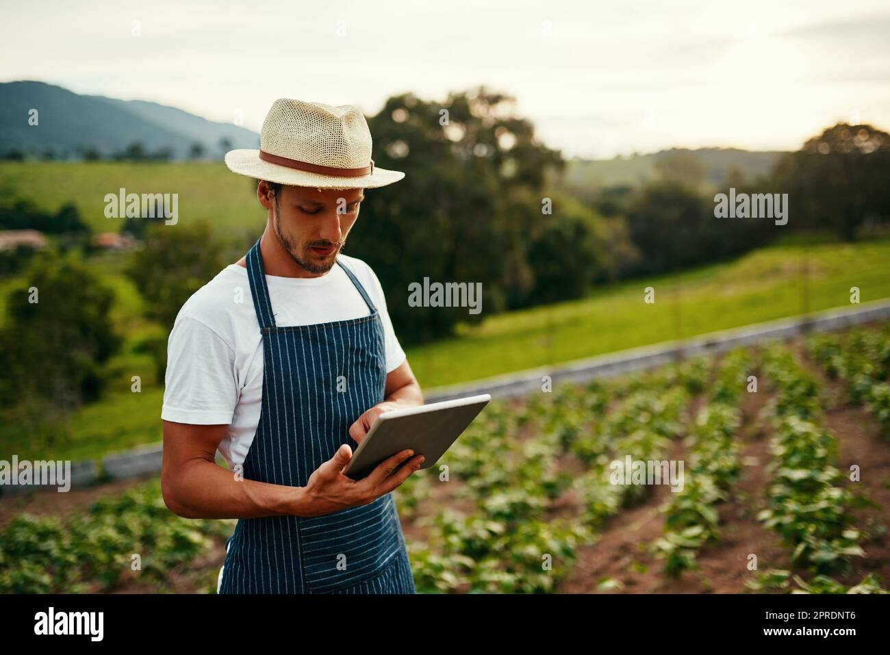 Utiliser la technologie pour rester en tête. Un beau jeune homme utilisant une tablette tout en travaillant sur sa ferme. Banque D'Images