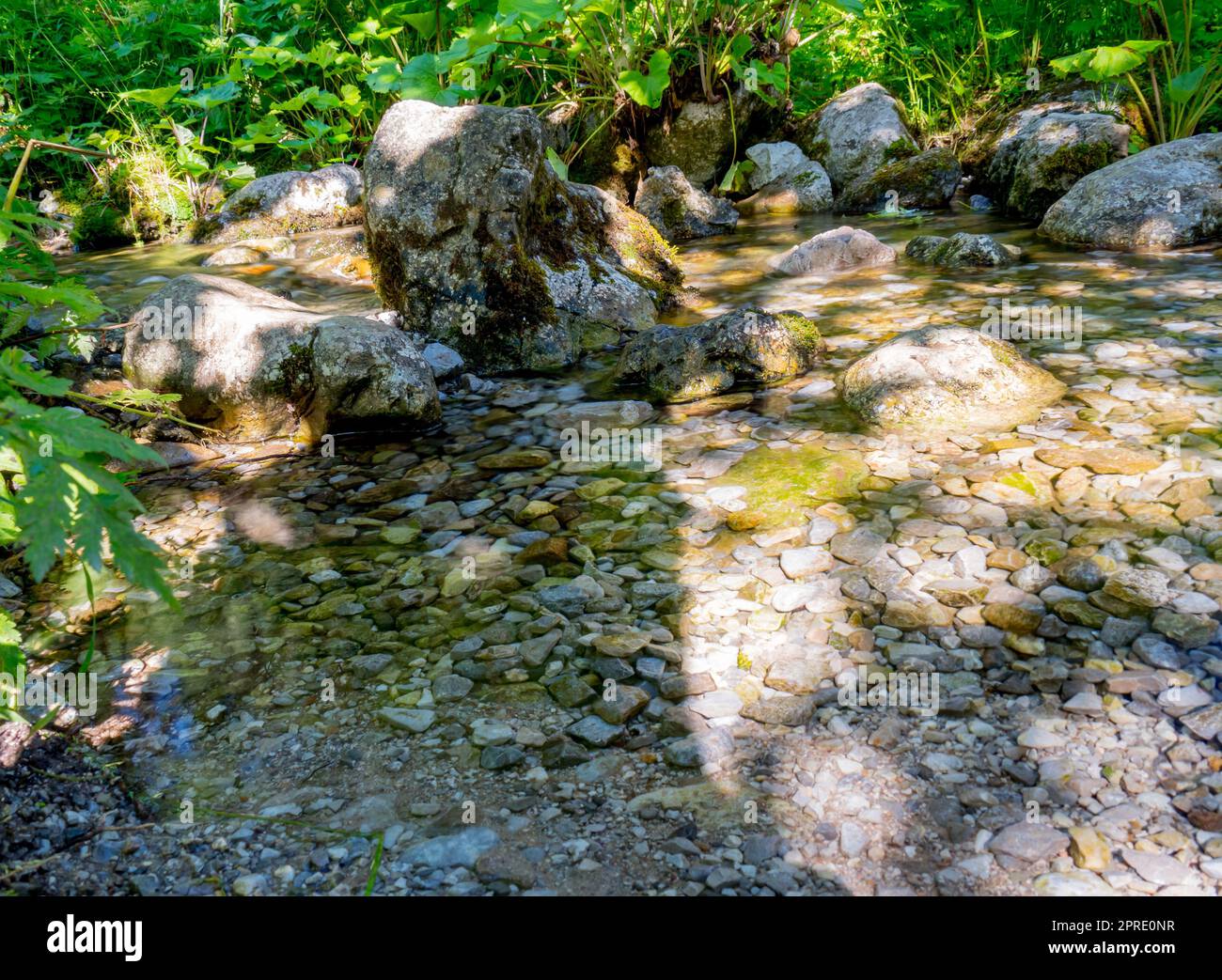 pierres couvertes de mousse dans un ruisseau de montagne Banque D'Images