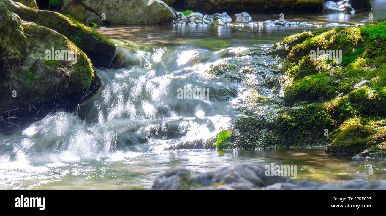 pierres couvertes de mousse dans un ruisseau de montagne Banque D'Images