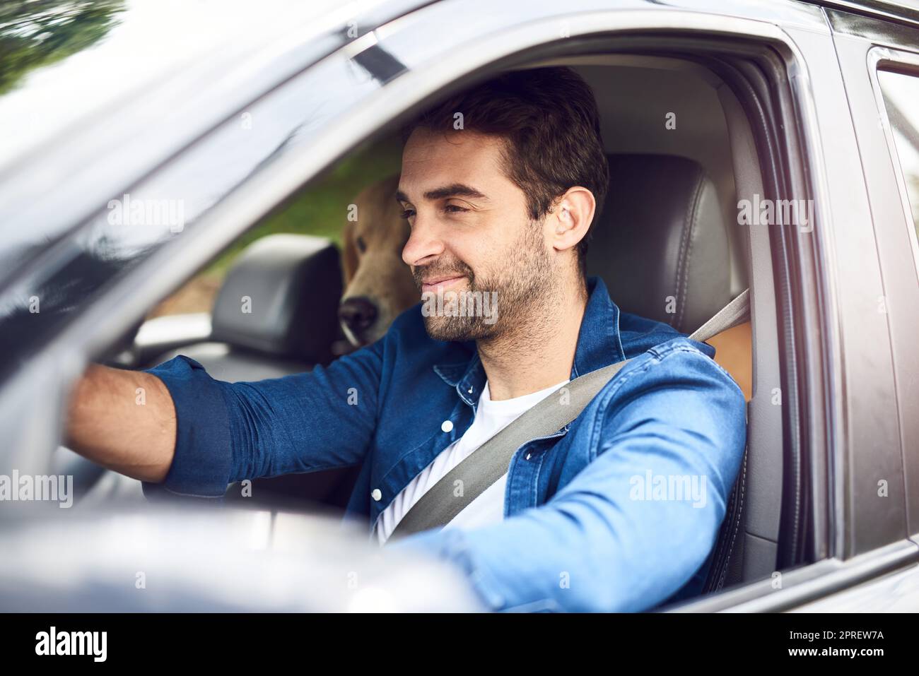 Le temps passé avec des animaux de compagnie n'est jamais perdu de temps. Un beau jeune homme assis dans la voiture avec son retriever d'or pendant un voyage de route. Banque D'Images