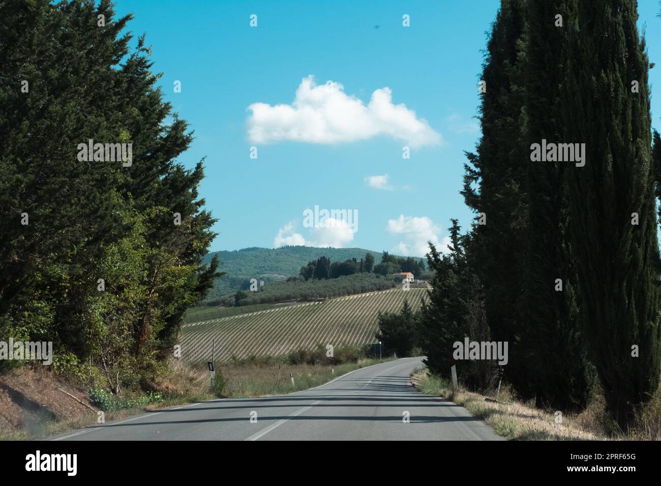 Belle vue sur le paysage et les sites de Toscane. Été en Italie Banque D'Images