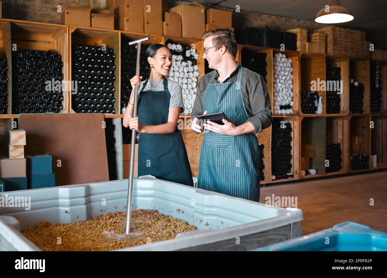 Les partenaires viticulteurs écrasent les raisins tout en cherchant le processus de fermentation sur une tablette numérique dans le domaine viticole. De jeunes collègues se sont associés et apprécient le travail, discutant du mélange et de la saveur de la dernière récolte Banque D'Images