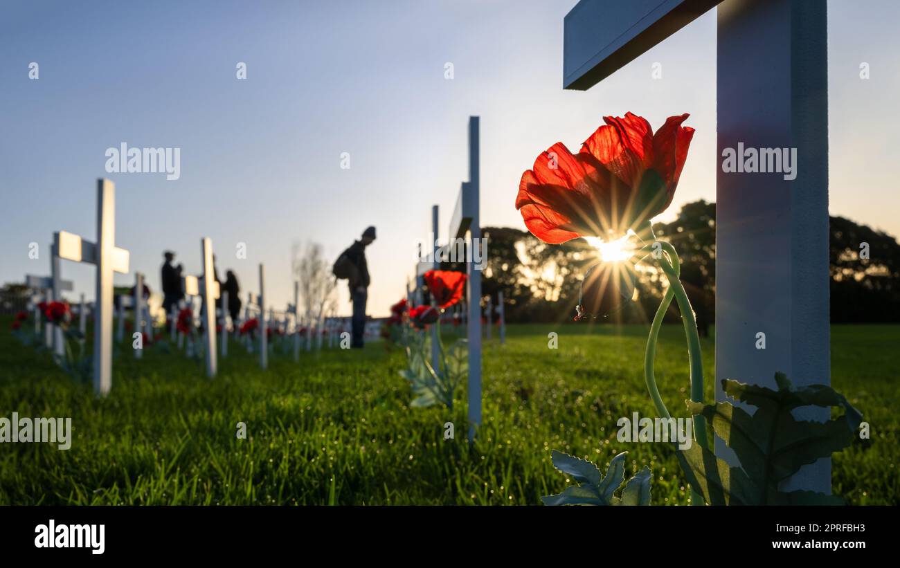 Des gens hors-focus qui respectent les soldats tombés sur le terrain des croix blanches et des coquelicots rouges. Commémoration de la Journée Anzac. Auckland. Banque D'Images