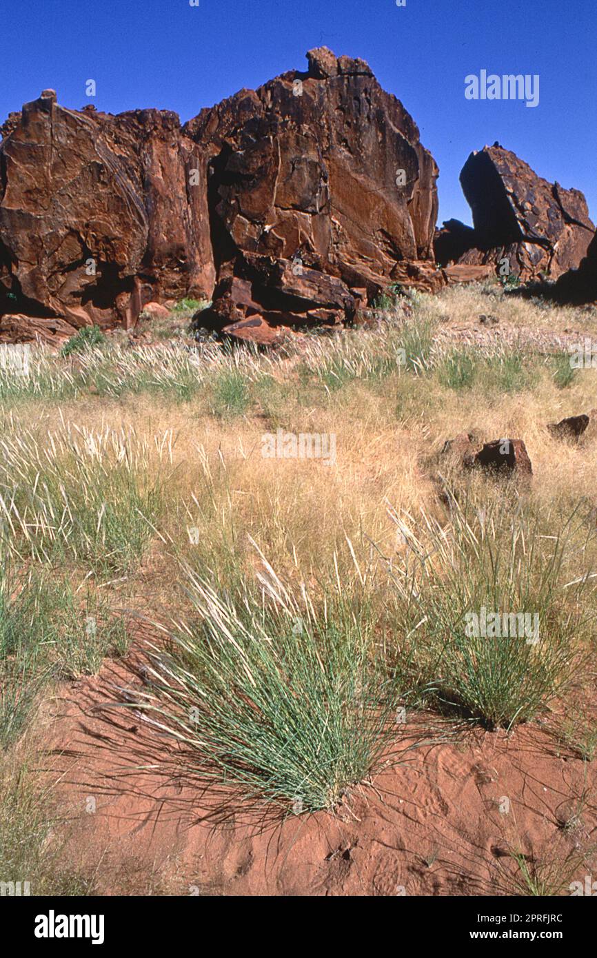 Vue panoramique de la région de Kunene kaokoland ou Banque D'Images