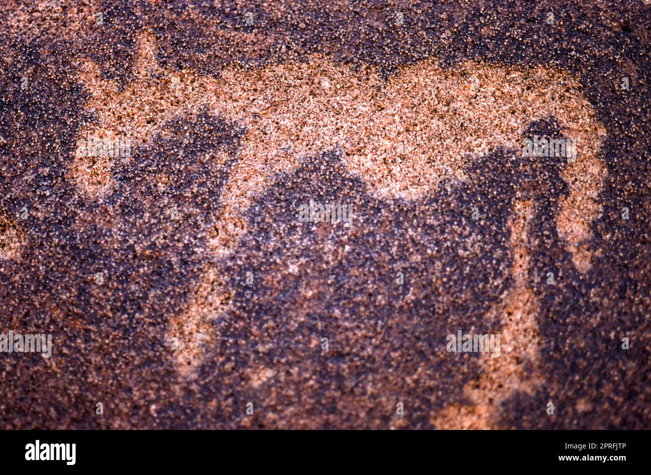 Pétroglyphes du site archéologique de Twyfelfontein, l'Afrique, la Namibie Banque D'Images