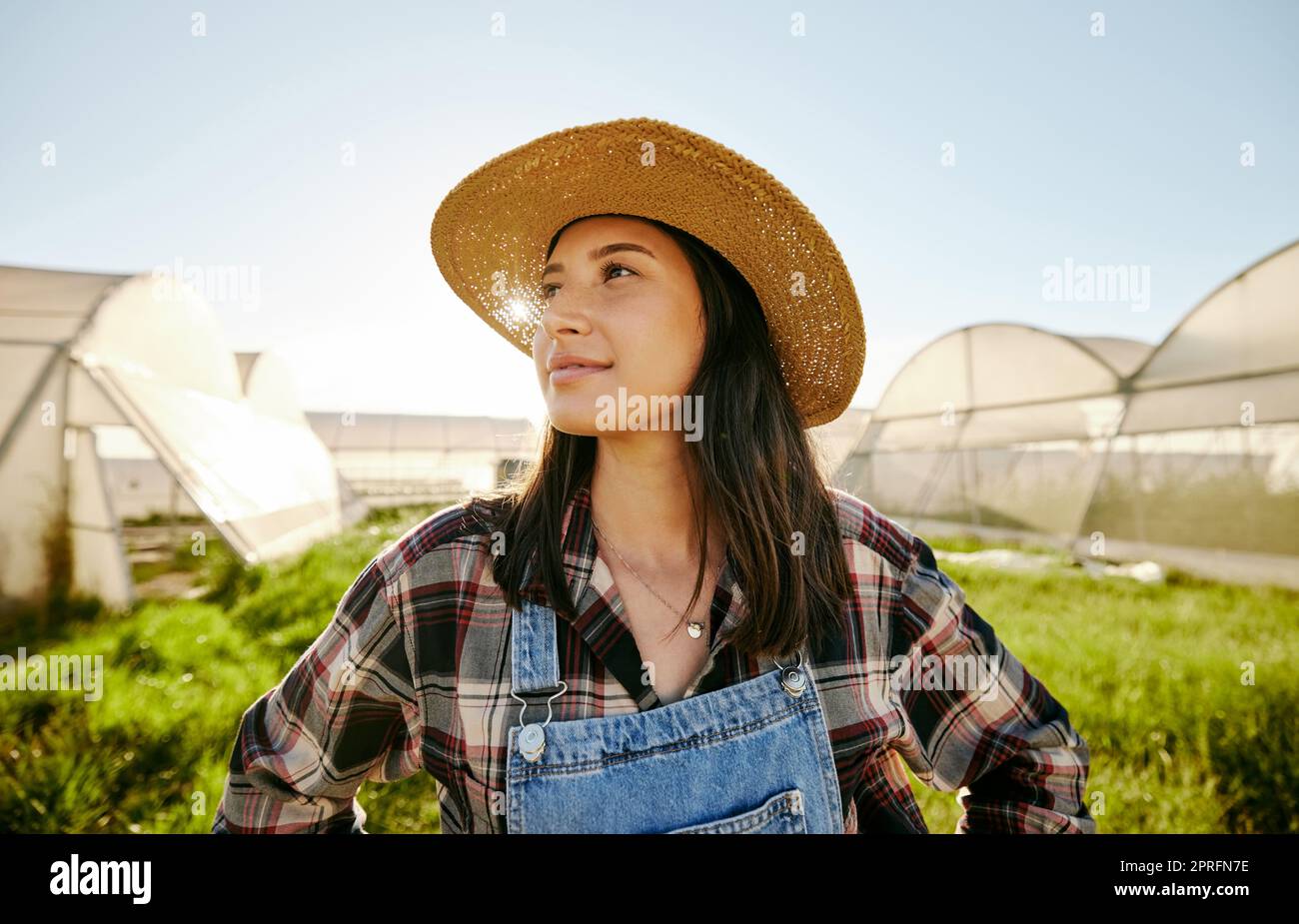 Serre, plantation et femme agriculteur pensant dans le champ de jardin. L'agriculture avec capture de carbone positif des affaires environnementales. Entreprise écologique et agriculture pour la durabilité de la production. Banque D'Images