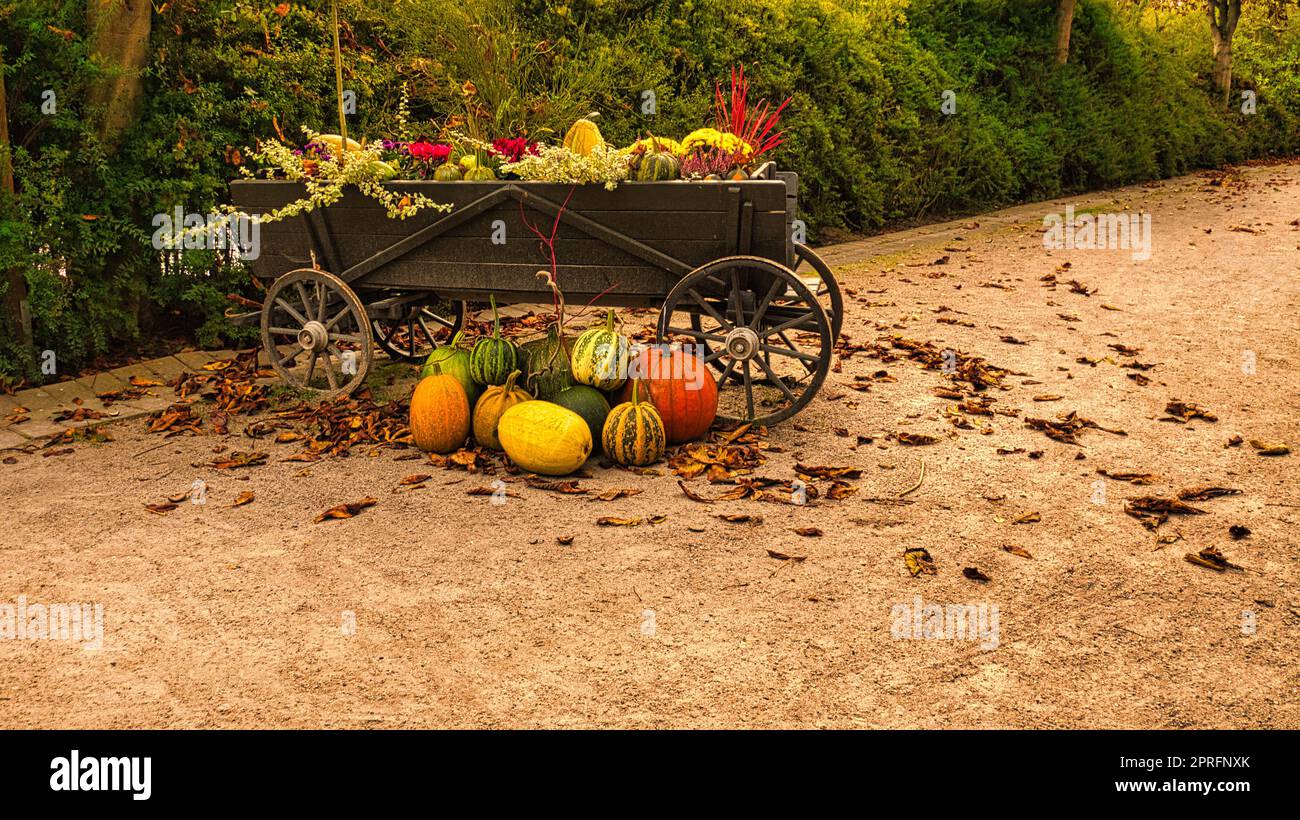 L'automne est le temps de récolte de la citrouille et d'autres légumes. Chariot en bois décoré Banque D'Images