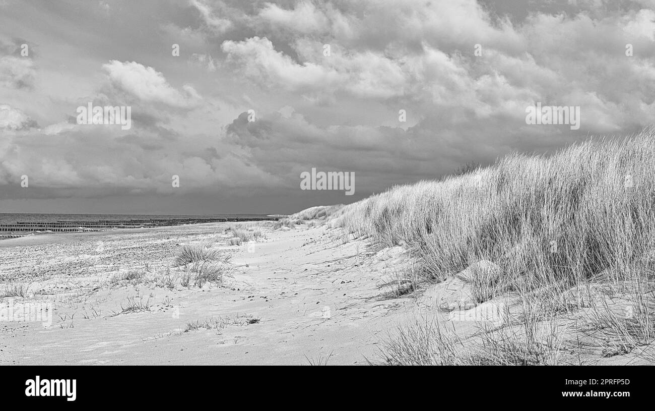 sur la plage de la mer baltique avec des nuages, des dunes, une plage et celle en noir et blanc. Banque D'Images