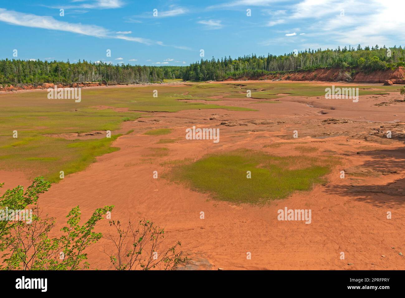 Estuaire côtier à faible Tide, dans la baie de Fundy, dans la réserve côtière de Thomas Cove, en Nouvelle-Écosse Banque D'Images