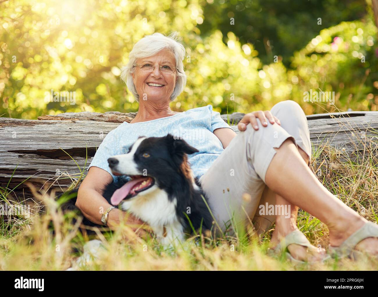 Le meilleur thérapeute a quatre jambes et une queue. Portrait d'une femme âgée heureuse qui se détend dans un parc avec son chien. Banque D'Images