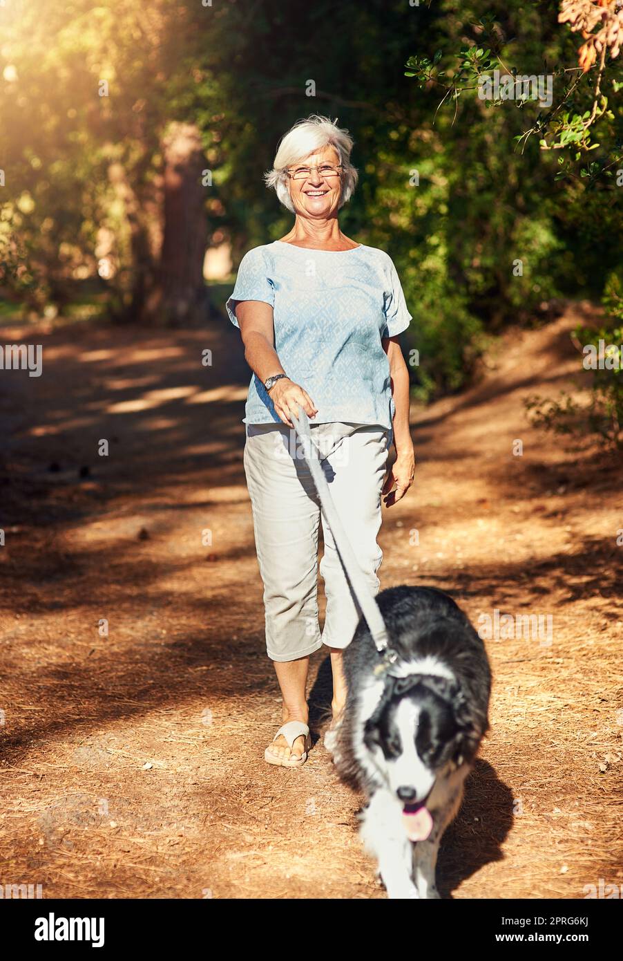 Parcourir les années ensemble. Portrait d'une femme âgée heureuse qui se détend dans un parc avec son chien. Banque D'Images