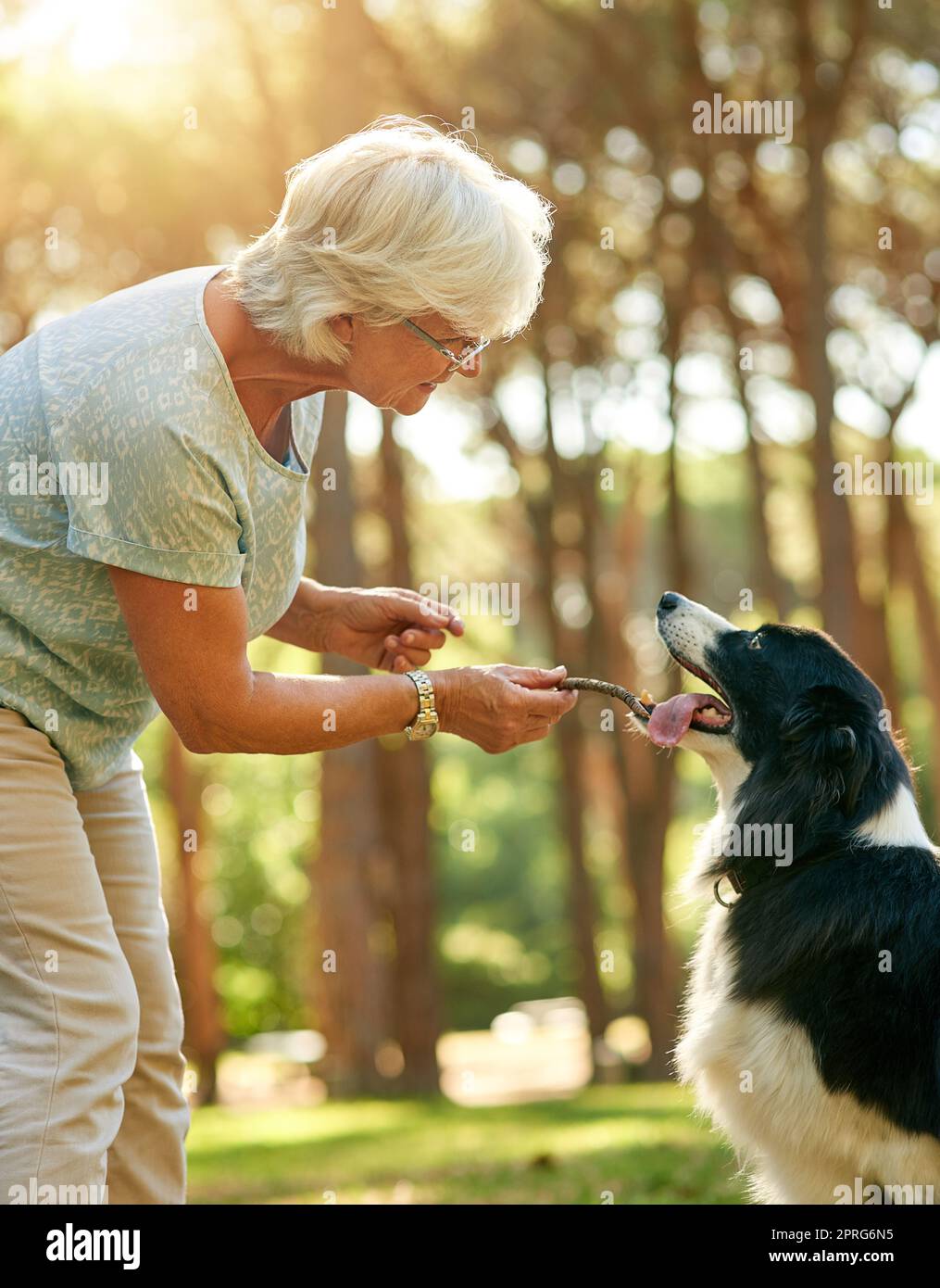 Il est son compagnon de constante. Une femme âgée heureuse se détendant dans un parc avec son chien. Banque D'Images