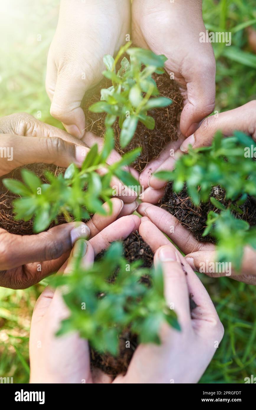 Développer ensemble l'avenir du monde quatre personnes, chacune tenant une plante poussant dans le sol. Banque D'Images